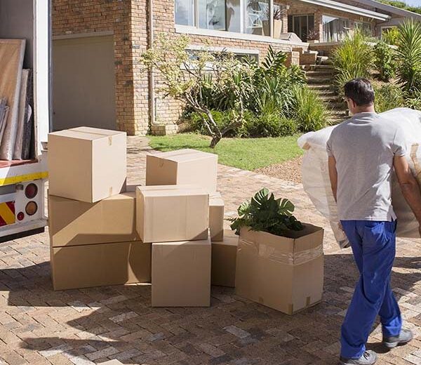 Removalists in erina